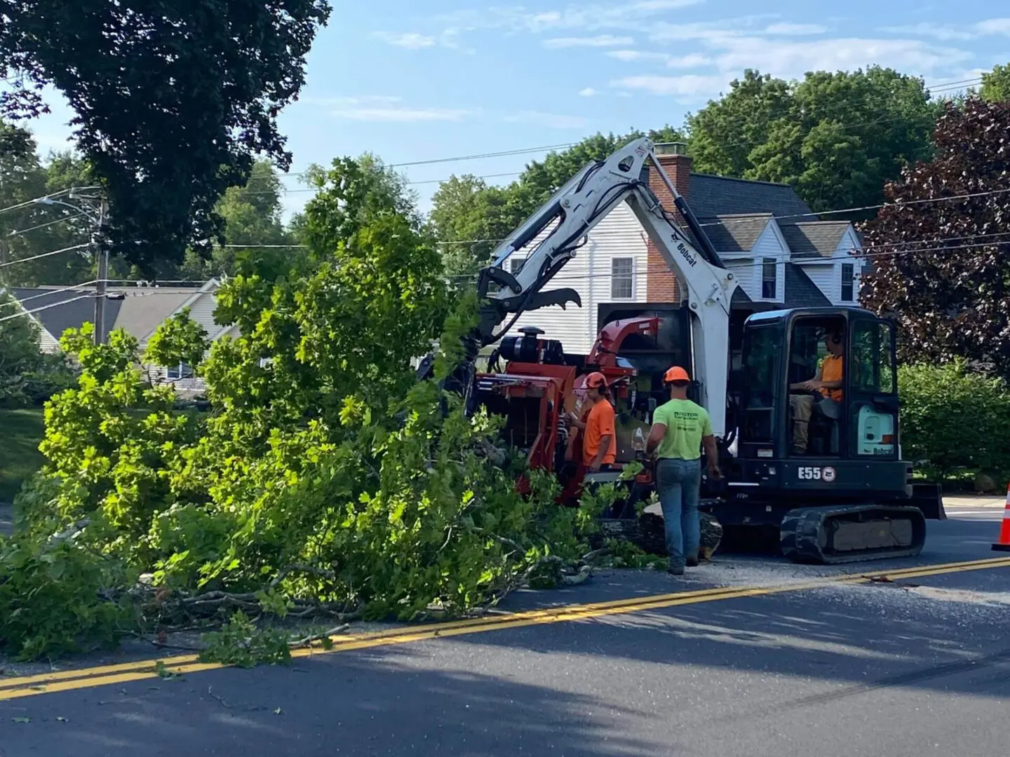 Princeton Tree Services