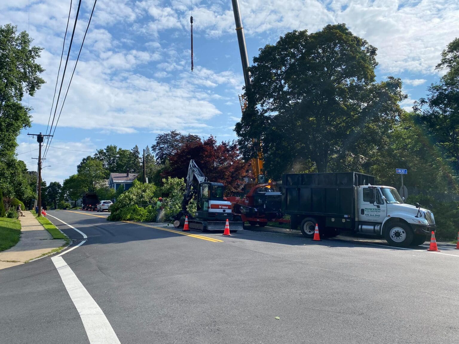 Princeton Tree Services, Inc gallery 8