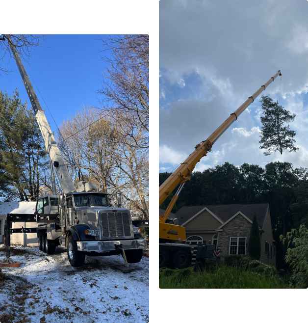 A crane is in the air next to a truck.