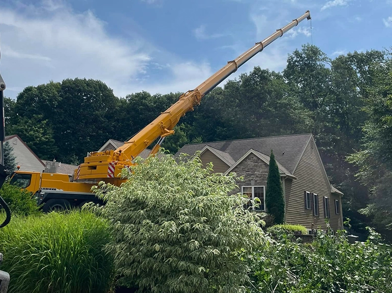 A crane is in front of a house.